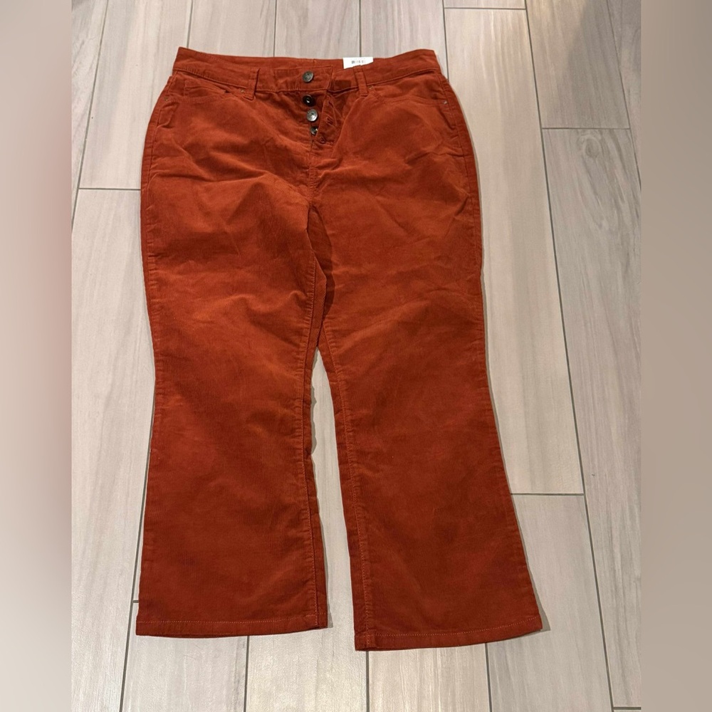 Style & Co. Burnt Orange Corduroy Trousers mid rise size 16 NWT